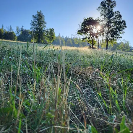 U Wojciecha Stronie Śląskie
