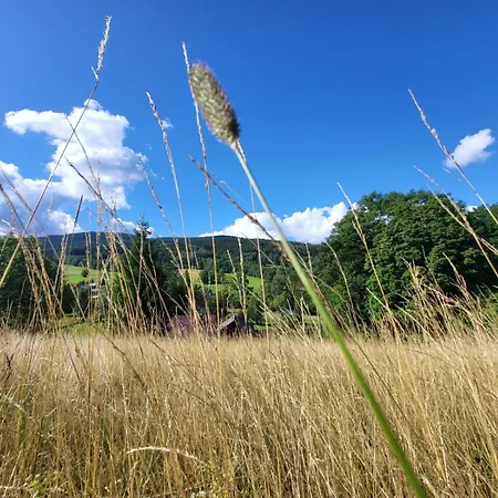 아파트 U Wojciecha *