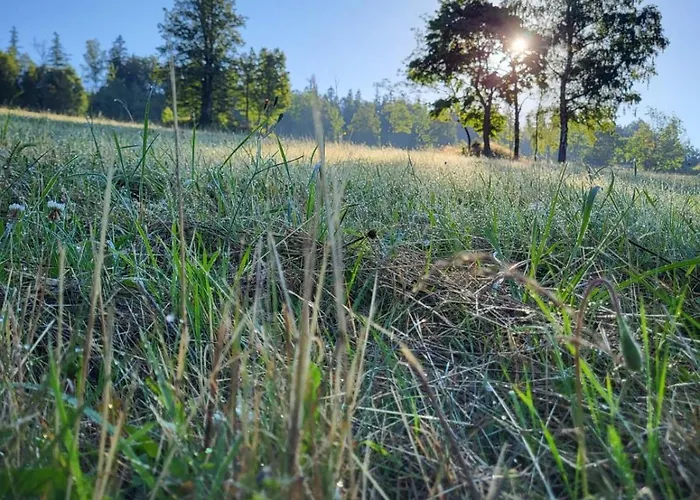 U Wojciecha Stronie Slaskie