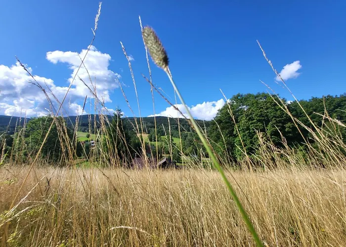 Apartment U Wojciecha *